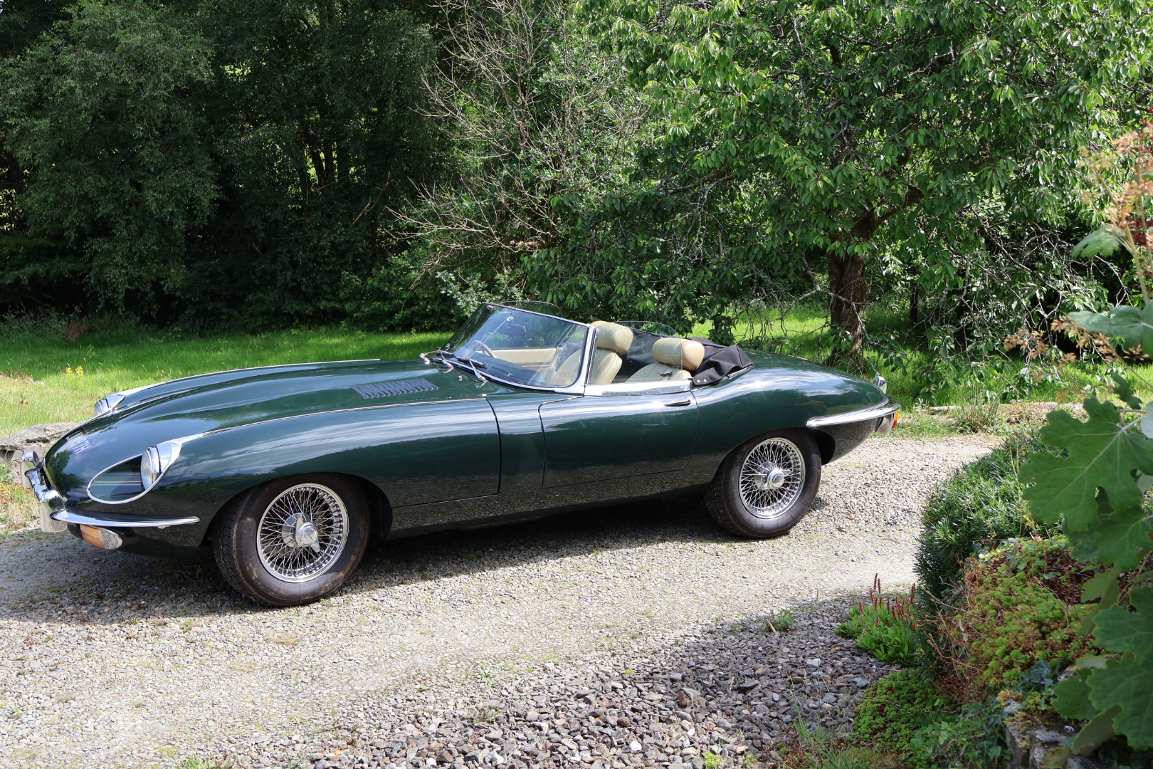 1968 Jaguar E-Type Series 2 - Roadster — photo 8