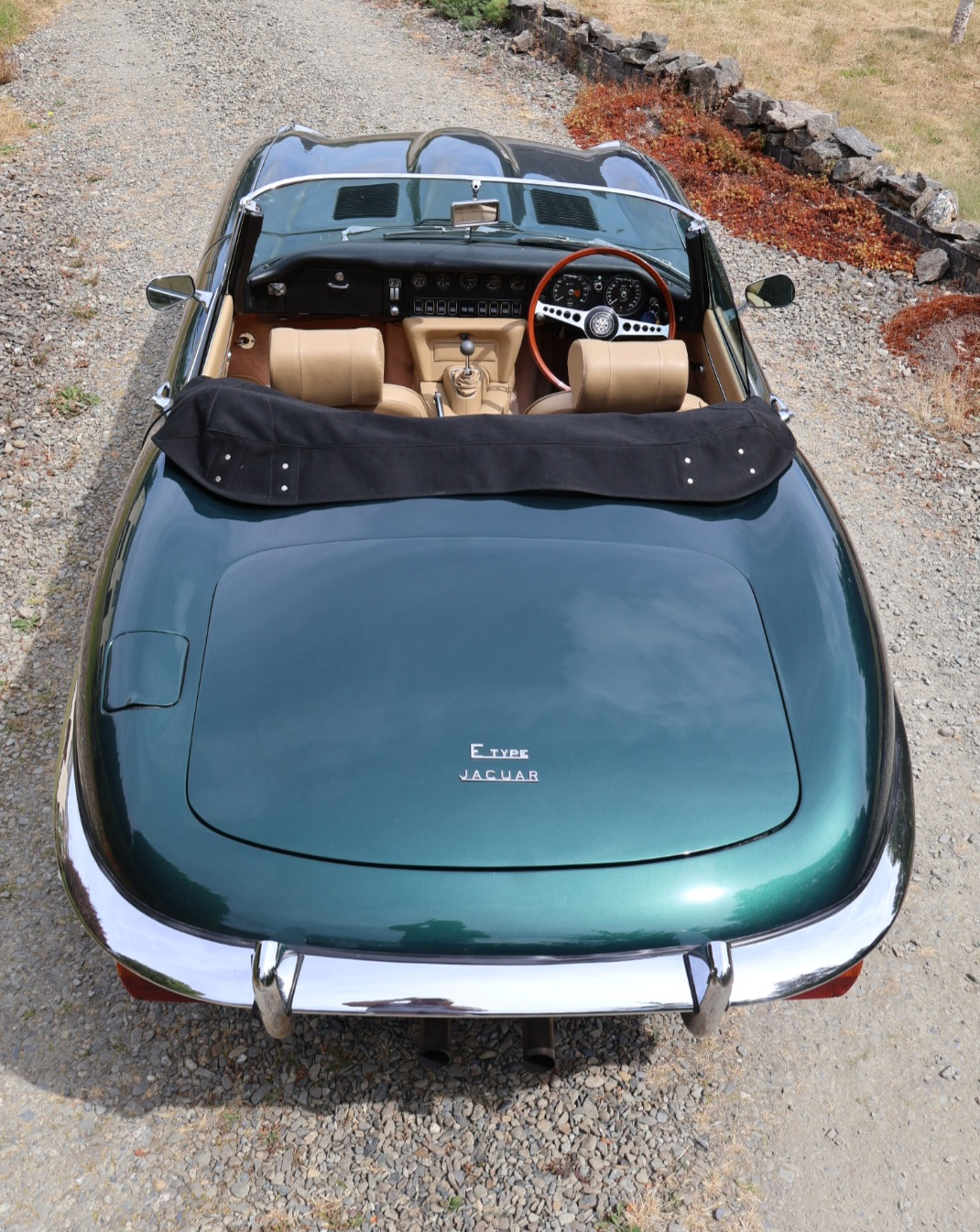 1969 Jaguar E Type- S2 4.2 Roadster — photo 8